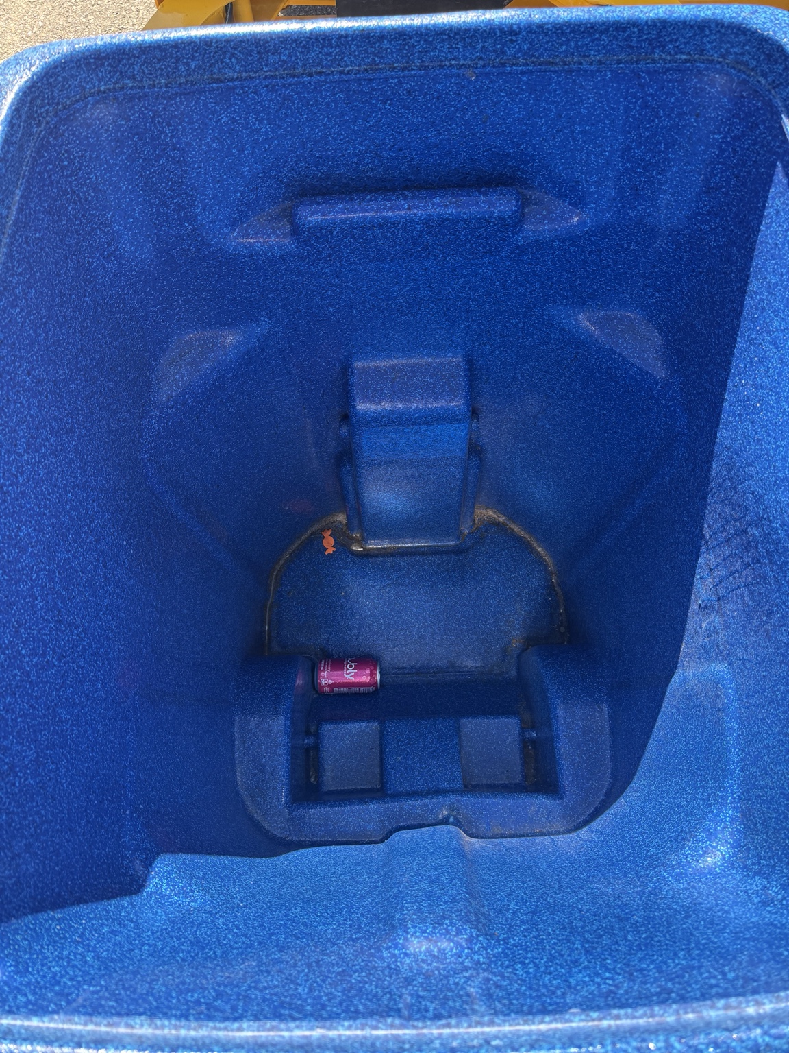 Blue bin interior before cleaning